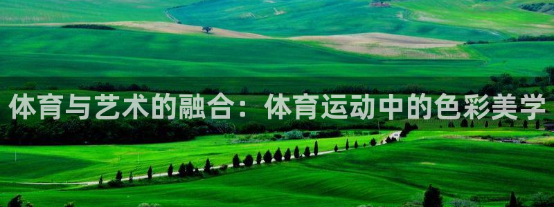 米兰体育网站：体育与艺术的融合：体育运动中的色彩美学