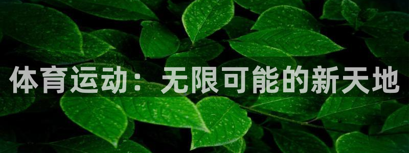 米兰体育怎么样：体育运动：无限可能的新天地
