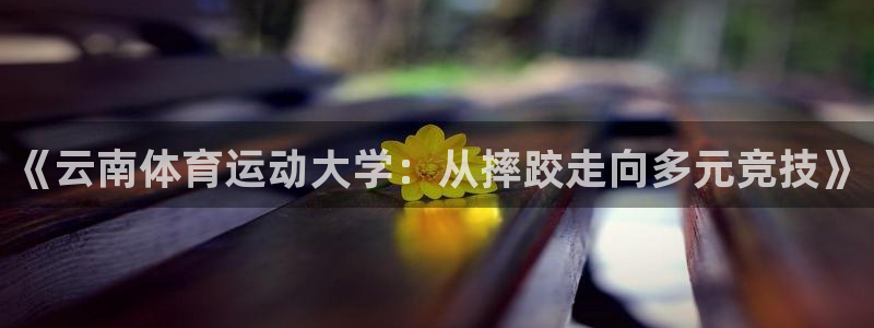 米兰体育场：《云南体育运动大学：从摔跤走向多元竞技》