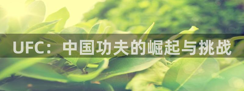 米兰体育入口：UFC：中国功夫的崛起与挑战