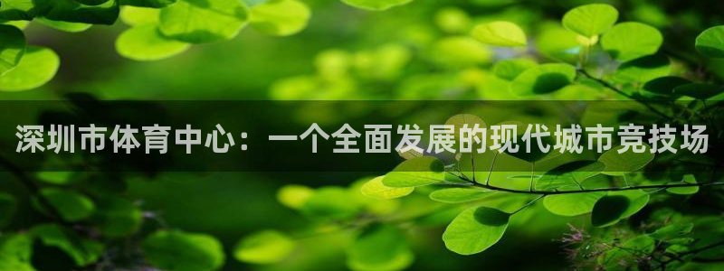 米兰体育报官网：深圳市体育中心：一个全面发展的现代城市竞技场