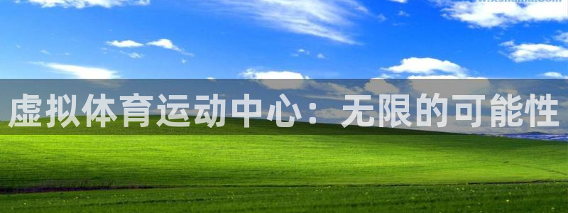 米兰体育app：虚拟体育运动中心：无限的可能性