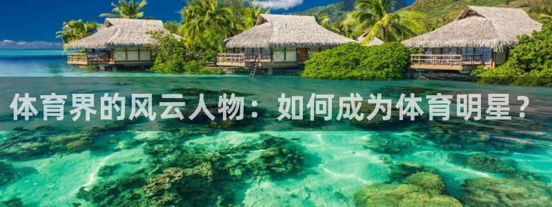 米兰体育：体育界的风云人物：如何成为体育明星？