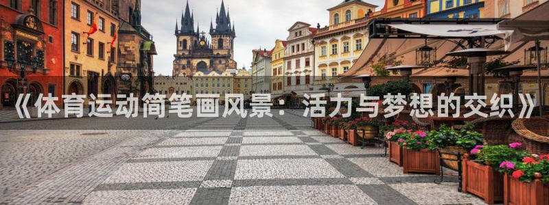 米兰体育平台：《体育运动简笔画风景：活力与梦想的交织》