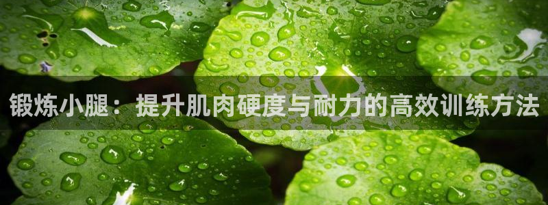 米兰体育网页版：锻炼小腿：提升肌肉硬度与耐力的高效训练方法