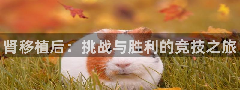 米兰体育